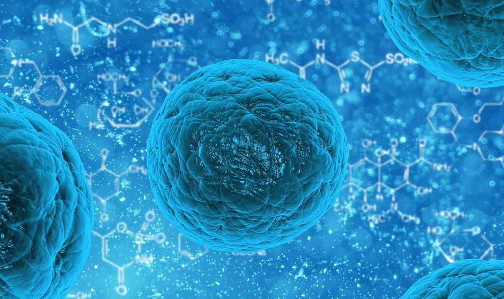 Difference Between Prokaryotic And Eukaryotic cell