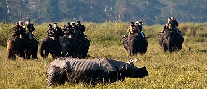 Wildlife in India