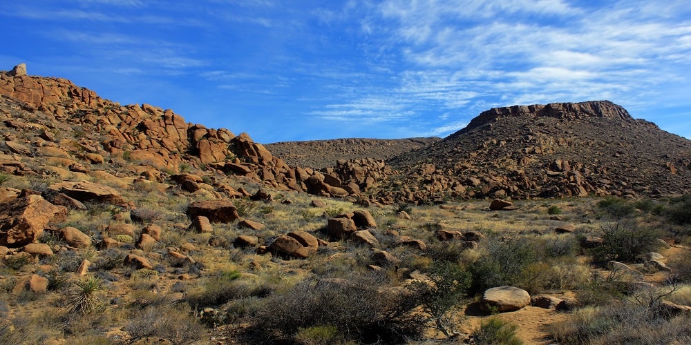 1 National Parks in Texas-min