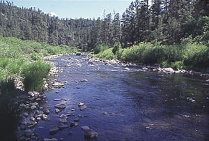 Rivers in Arizona