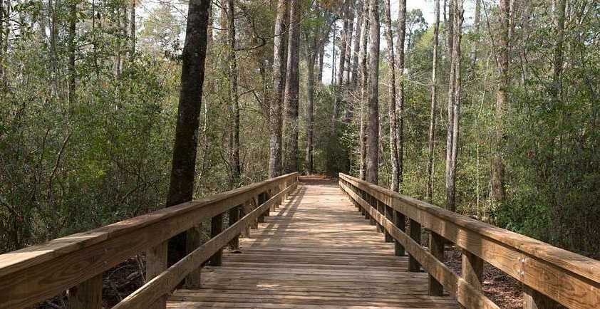 Big Thicket National Preserve