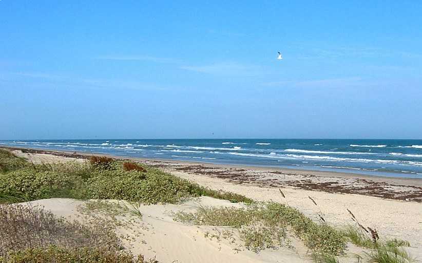 Padre Island National Seacoast