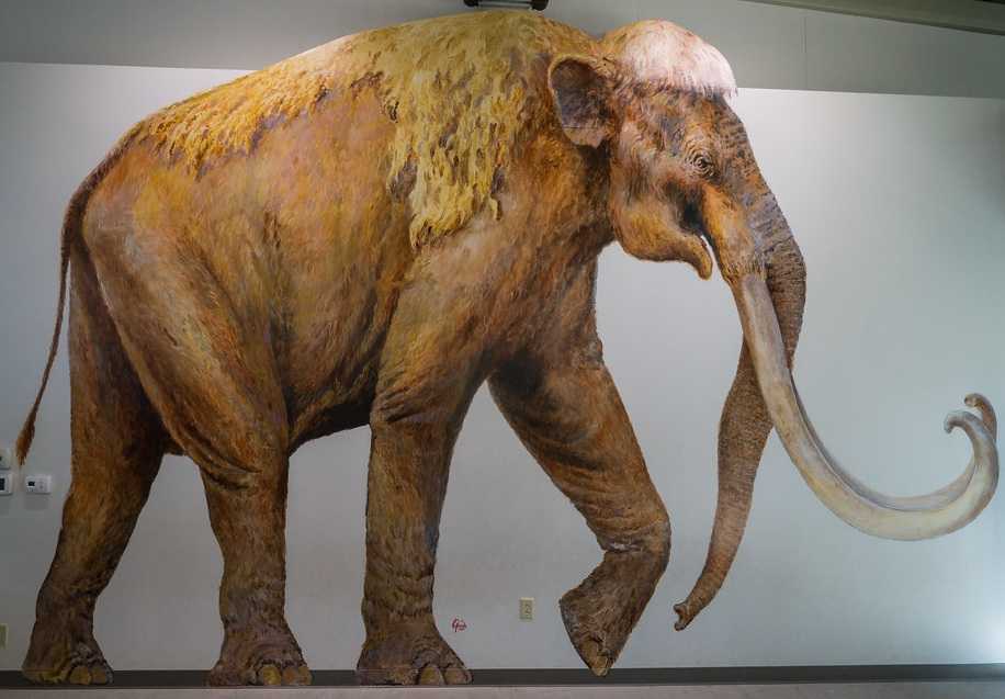 Waco Mammoth Memorial